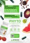 Herbalife_Phyto_brochure